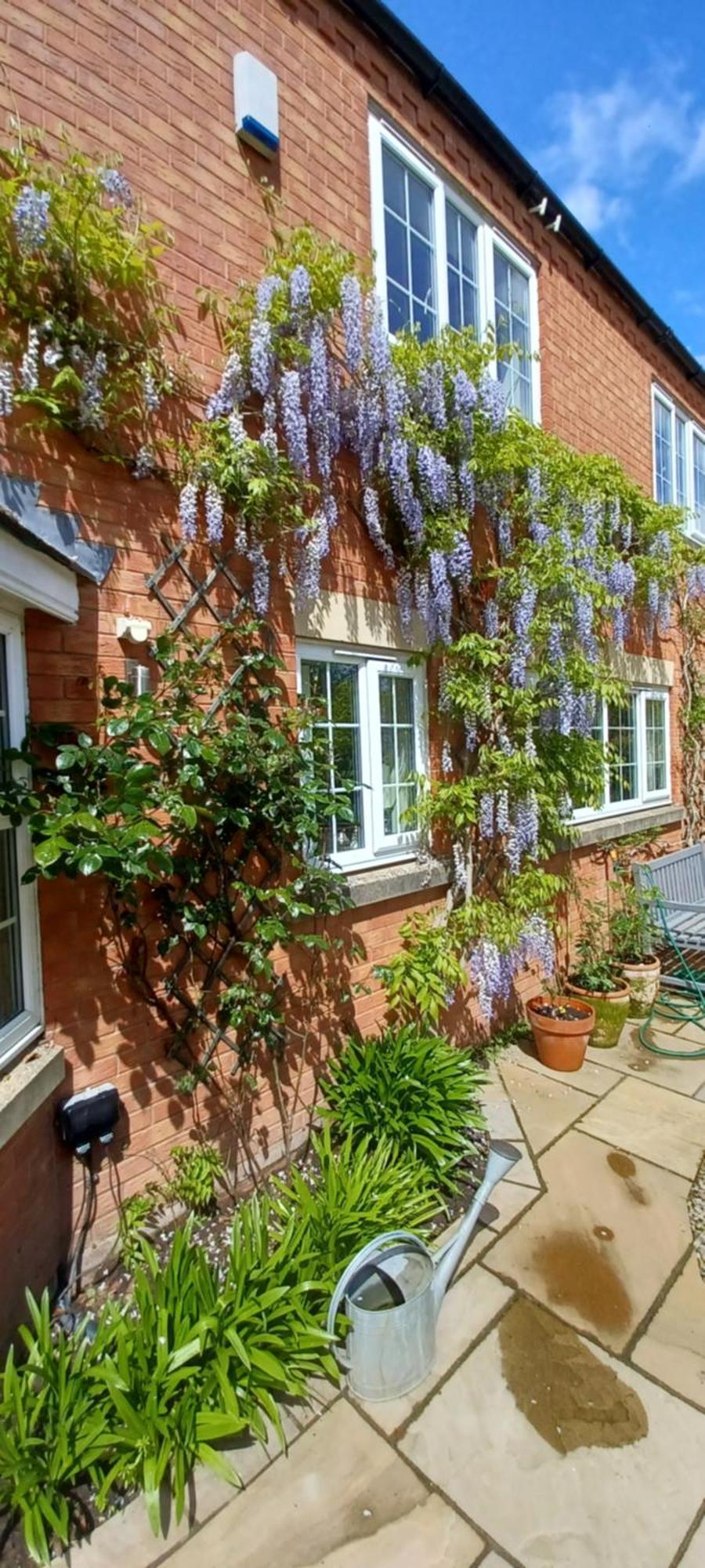 Harlequin B&B Ledbury Esterno foto